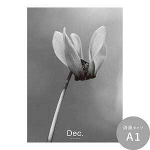 ySiΏۃN[|zzz ͂o[Xf[ A[g|X^[ VOt[ L V[^Cv A2 A3 Room No.0  mg[ CeA  Vv  DIY ǎ{