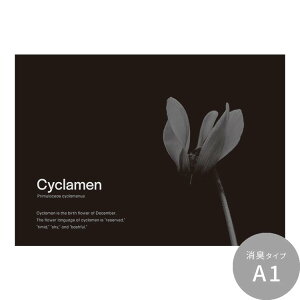 ySiΏۃN[|zzz ͂o[Xf[A[g|X^[ VhEu[ L V[^Cv A2 A3 Room No.0  mg[ CeA  Vv  DIY ǎ{