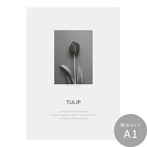 ySiΏۃN[|zzz ͂o[Xf[A[g|X^[ NbV[t[ ϐ V[^Cv A1 A2 A3 Room No.0  mg[ CeA  Vv  DIY ǎ{