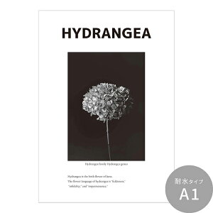 ySiΏۃN[|zzz ͂o[Xf[A[g|X^[ [ht[ ϐ V[^Cv A1 A2 A3 Room No.0  mg[ CeA  Vv  DIY ǎ{