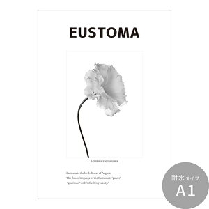ySiΏۃN[|zzz ͂o[Xf[A[g|X^[ [ht[ ϐ V[^Cv A1 A2 A3 Room No.0  mg[ CeA  Vv  DIY ǎ{