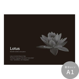 ySiΏۃN[|zzz ͂o[Xf[A[g|X^[ VhEu[ ϐ V[^Cv A1 A2 A3 Room No.0  mg[ CeA  Vv  DIY ǎ{