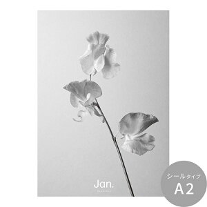 ySiΏۃN[|zzz ͂o[Xf[A[g|X^[ VOt[ t[X ̂ȂEV[^Cv A2 A3 Room No.0  mg[ CeA  Vv  DIY ǎ