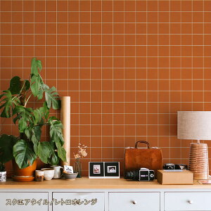 ySiΏۃN[|zzz͂ V[ ǎ NX  ^C g |bv   Tv CNV[g  re[W ~bhZ`[ iX ǎ ォ\ S