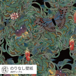 ySiΏۃN[|zzz ͂ǎ ̂Ȃ^Cv   NX WALLTZ EHc Tv  O[  X A   nidaira eli / ЂX NGC^[Yǎ ǎ̏ォ