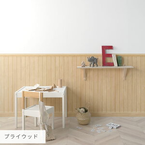 ySiΏۃN[|zzzwȂX[T[tx͂ V[ ǎ  Lower wall sheet [[EH[V[g 48cm×90cm Tv ubNLbY pl CNV[g  