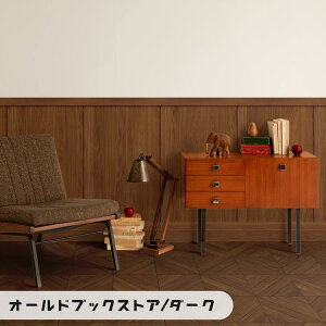 ySiΏۃN[|zzzwȂX[T[tx͂ V[ ǎ  Lower wall sheet [[EH[V[g 48cm×90cm Tv gg Ebhpl CNV[g  