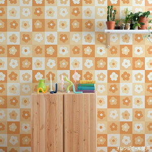 ySiΏۃN[|zzz͂ V[ ǎ NX  fCW[ ubN   Tv  CNV[g |bv Jt CeA AJ 킢 g  