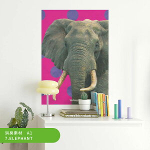 ySiΏۃN[|zzz ͂A[g|X^[ TCPhbgAj} L V[^Cv A1 A2 A3 What's poppin?   Jt CeA   DIY ǎ{