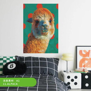 �y�ő�25���N�[�|���z�z���z �͂�����A�[�g�|�X�^�[ �T�C�P�h�b�g�A�j�}�� ���L �V�[���^�C�v A1 A2 A3 What's poppin? ���� ���� �J���t�� �C���e���A ���� ������ DIY �ǎ����{��