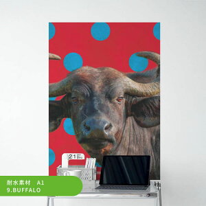 ySiΏۃN[|zzz ͂A[g|X^[ TCPhbgAj} ϐ V[ A1 A2 A3 What's poppin?   Jt CeA   DIY ǎ{