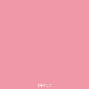 ySiΏۃN[|zzz \Ă͂ NbVtA tA^C V[^Cv What's poppin? n |bv v[ Jt S35F ` 44cm 29.3cm 22cm