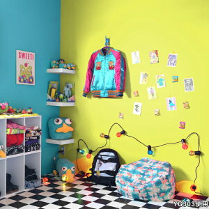 ySiΏۃN[|zzz͂ V[ǎ NX  49cm n  CG[ O[ |bv Jt  킢 CeA  AJ F LbY q 