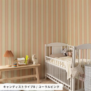 ͂ǎ ̂Ȃ^Cv LfBXgCv 49cm Tv t[Xǎ  CeA  ȒP ւ   ~~Ȃ ˂t  NX DIY { ǎ{