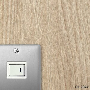 y10/15Si|Cg5{Iz yʌẑt ǎ 15m Pi ǎ\KChƉt NX ȒP ւ DIY { Vv  gC tH[ O[ x[W 