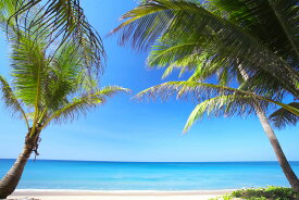 楽天市場 壁紙 リゾートの通販