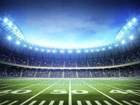 楽天市場 サッカー 壁紙の通販