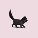 楽天市場 アートパネル 動物 アニマルのアートパネル 猫 ネコのアートパネル 壁紙屋本舗 カベガミヤホンポ