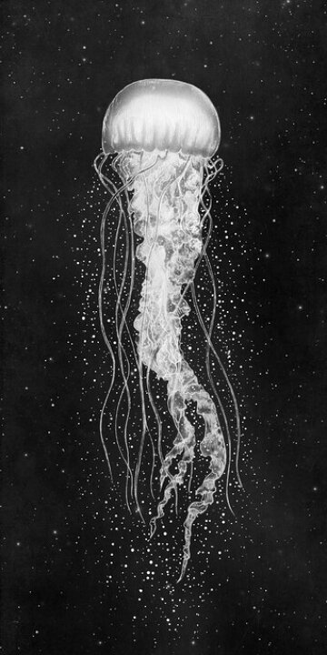 楽天市場 アートパネル 10cm単位でサイズオーダーできる 絵画 壁掛け インテリア 壁飾り キャンバス アート ウォール クラゲ 海 モノトーン モノクロ 黒 ブラック 060 壁紙屋本舗 カベガミヤホンポ