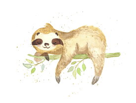 ナマケモノ 壁紙