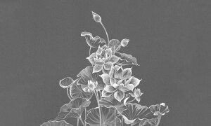 睡蓮 花の通販 価格比較 価格 Com
