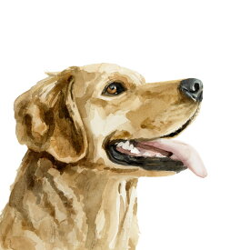 楽天市場 絵画 オーダー 犬の通販