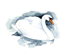 楽天市場 Swan 白鳥 壁紙 装飾フィルム インテリア 寝具 収納 の通販