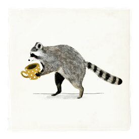楽天市場 アライグマの通販