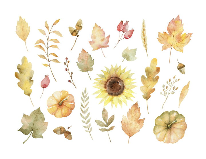 楽天市場 アートパネル 10cm単位でサイズオーダーできる 絵画 壁掛け インテリア 壁飾り キャンバス アート ウォール ひまわり 花 かぼちゃ 葉 イラスト 水彩画 壁紙屋本舗 カベガミヤホンポ