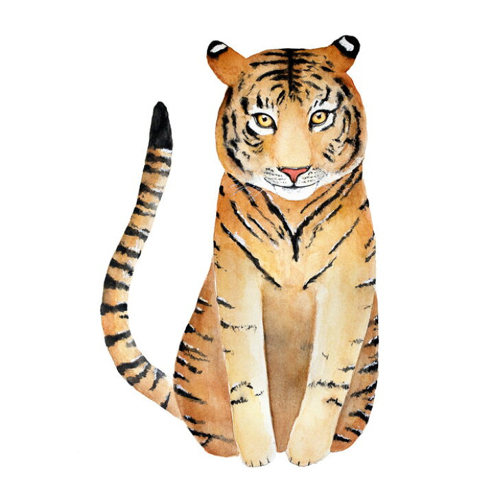 楽天市場 アートパネル 10cm単位でサイズオーダーできる 絵画 壁掛け インテリア 壁飾り キャンバス アート ウォール 虎 トラ イラスト オレンジ 壁紙屋本舗 カベガミヤホンポ