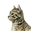 楽天市場 アートパネル 動物 アニマルのアートパネル 猫 ネコのアートパネル 壁紙屋本舗 カベガミヤホンポ