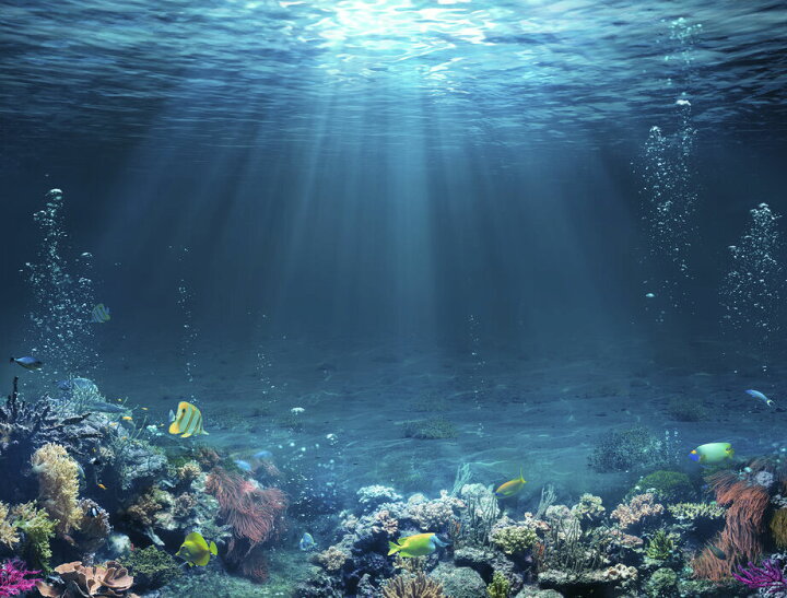 楽天市場 アートパネル 10cm単位でサイズオーダーできる 絵画 壁掛け インテリア 壁飾り キャンバス アート ウォール 海 海中 魚 サンゴ 光 青 ブルー 278 壁紙屋本舗 カベガミヤホンポ