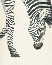 楽天市場 シマウマ イラストの通販