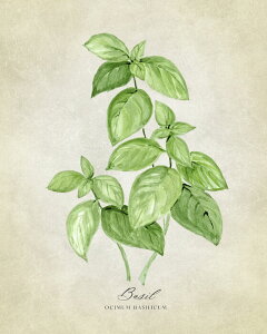葉っぱ 絵画 インテリア 家具の人気商品 通販 価格比較 価格 Com 葉っぱ 絵画 インテリア 家具の人気商品 通販 価格比較 価格 Com