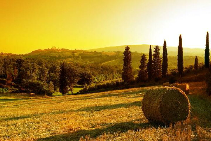 楽天市場 風景 景色の壁紙 輸入 カスタム壁紙 Photowall Sunset Tuscany Landscape E 貼ってはがせるフリース壁紙 不織布 海外取り寄せのため1カ月程度でお届け 代引き 後払い不可 壁紙屋本舗 カベガミヤホンポ