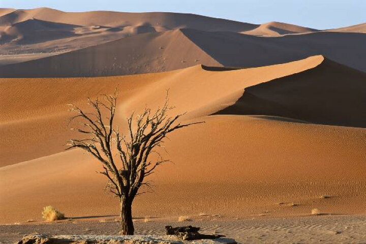 楽天市場 風景 景色 砂漠の壁紙 輸入 カスタム壁紙 Photowall Bright Desert E 貼ってはがせるフリース壁紙 不織布 海外取り寄せのため1カ月程度でお届け 代引き 後払い不可 壁紙屋本舗 カベガミヤホンポ