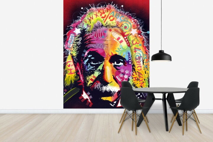 楽天市場 アート 絵画 人物の壁紙 アインシュタイン 輸入 カスタム壁紙 Photowall Einstein 2 E 貼ってはがせるフリース壁紙 不織布 海外取り寄せのため1カ月程度でお届け 代引き 後払い不可 壁紙屋本舗 カベガミヤホンポ