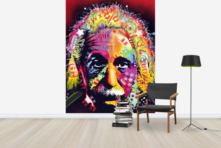 楽天市場 アート 絵画 人物の壁紙 アインシュタイン 輸入 カスタム壁紙 Photowall Einstein 2 E 貼ってはがせるフリース壁紙 不織布 海外取り寄せのため1カ月程度でお届け 代引き 後払い不可 壁紙屋本舗 カベガミヤホンポ