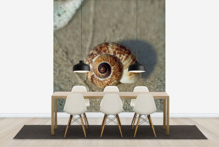 楽天市場 自然 ビーチ 砂浜 海の壁紙 輸入 カスタム壁紙 Photowall Sand Surf Shell E 貼ってはがせるフリース壁紙 不織布 海外取り寄せのため1カ月程度でお届け 代引き 後払い不可 壁紙屋本舗 カベガミヤホンポ
