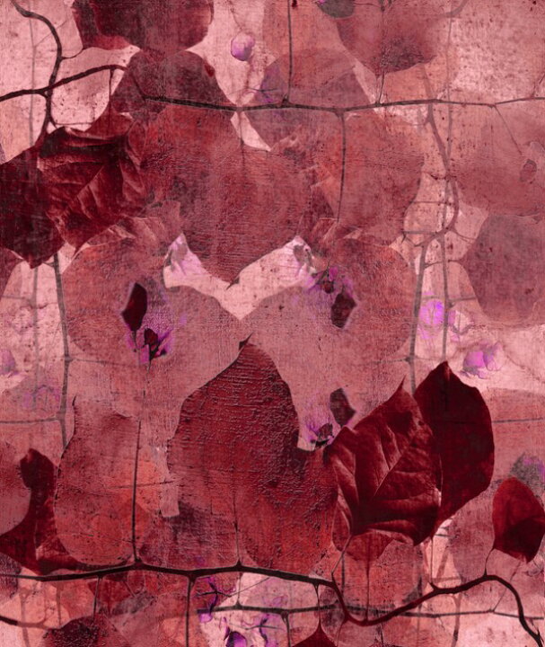 楽天市場 アート 絵画 現代美術 コンテンポラリーアートの壁紙 輸入 カスタム壁紙 Photowall Bordeaux Grapevine E 貼ってはがせるフリース壁紙 不織布 海外取り寄せのため1カ月程度でお届け 代引き 後払い不可 壁紙 屋本舗 カベガミヤホンポ