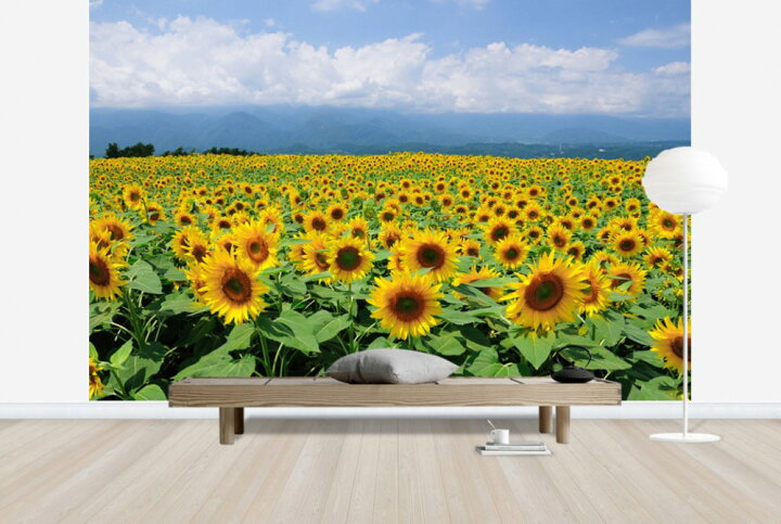 楽天市場 風景 景色 自然の壁紙 夏 ひまわり 輸入 カスタム壁紙 Photowall Sunflowers In Sunny Weather E 貼ってはがせるフリース壁紙 不織布 海外取り寄せのため1カ月程度でお届け 代引き 後払い不可 壁紙 屋本舗 カベガミヤホンポ