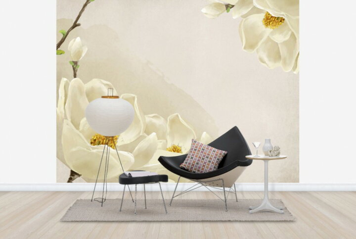 楽天市場 ビンテージ ヴィンテージ 古典美術 クラシックアートの壁紙 輸入 カスタム壁紙 Photowall White Beauty E 貼ってはがせるフリース壁紙 不織布 海外取り寄せのため1カ月程度でお届け 代引き 後払い不可 壁紙 屋本舗 カベガミヤホンポ