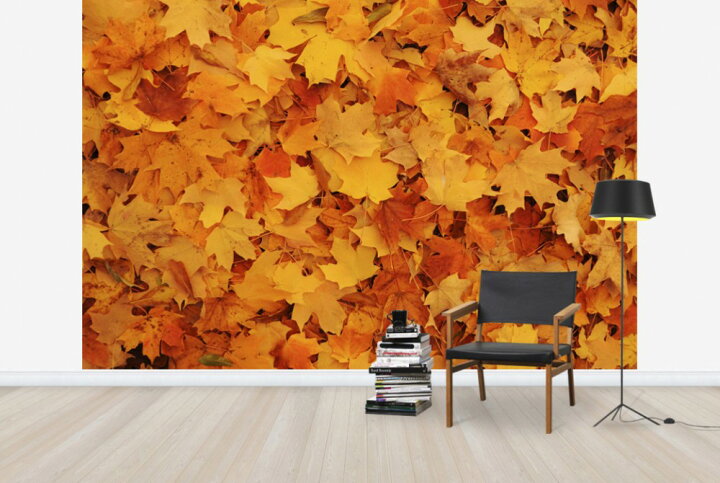 楽天市場 自然 川 河の壁紙 秋 紅葉 落ち葉 輸入 カスタム壁紙 Photowall Bed Of Autumn Maple Leaves E 貼ってはがせるフリース壁紙 不織布 海外取り寄せのため1カ月程度でお届け 代引き 後払い不可 壁紙 屋本舗 カベガミヤホンポ