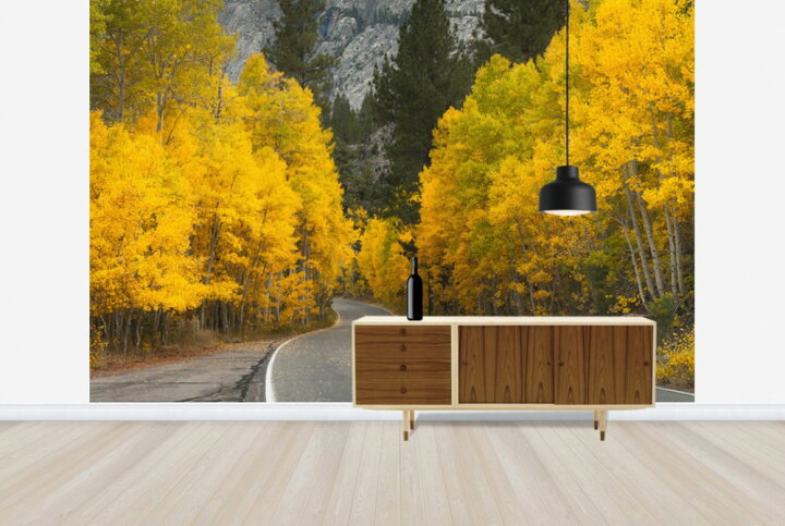 楽天市場 風景 景色 自然の壁紙 秋 紅葉 輸入 カスタム壁紙 Photowall Eastern Sierra Autumn Landscape E 貼ってはがせるフリース壁紙 不織布 海外取り寄せのため1カ月程度でお届け 代引き 後払い不可 壁紙 屋本舗 カベガミヤホンポ