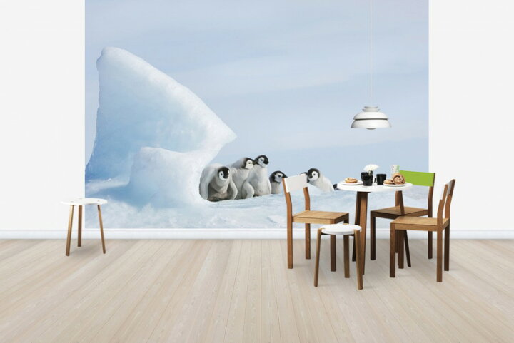 楽天市場 動物 アニマル ペンギンの壁紙 輸入 カスタム壁紙 Photowall Under Cover Chicks E 貼ってはがせるフリース壁紙 不織布 海外取り寄せのため1カ月程度でお届け 代引き 後払い不可 壁紙屋本舗 カベガミヤホンポ 楽天市場 動物 アニマル ペンギンの壁紙 輸入 カスタム壁紙 Photowall Under Cover Chicks E 貼ってはがせるフリース壁紙 不織布 海外取り寄せのため1カ月程度でお届け 代引き 後払い不可 壁紙屋本舗 カベガミヤホンポ