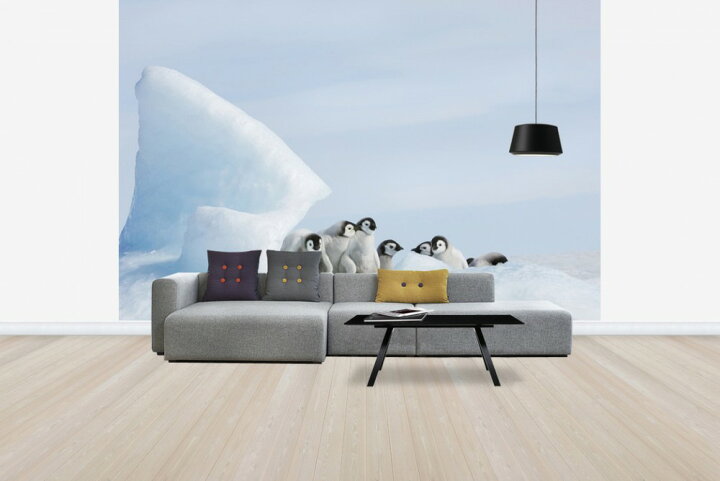 楽天市場 動物 アニマル ペンギンの壁紙 輸入 カスタム壁紙 Photowall Under Cover Chicks E 貼ってはがせるフリース壁紙 不織布 海外取り寄せのため1カ月程度でお届け 代引き 後払い不可 壁紙屋本舗 カベガミヤホンポ 楽天市場 動物 アニマル ペンギンの壁紙 輸入 カスタム壁紙 Photowall Under Cover Chicks E 貼ってはがせるフリース壁紙 不織布 海外取り寄せのため1カ月程度でお届け 代引き 後払い不可 壁紙屋本舗 カベガミヤホンポ