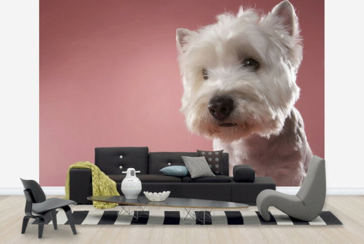 楽天市場 動物 アニマル 犬 イヌの壁紙 輸入 カスタム壁紙 Photowall West Highland Terrier E 貼ってはがせるフリース壁紙 不織布 海外取り寄せのため1カ月程度でお届け 代引き 後払い不可 壁紙屋本舗 カベガミヤホンポ