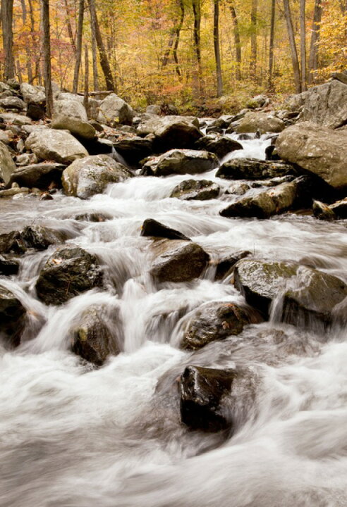 楽天市場 自然 森の壁紙 秋 紅葉 輸入 カスタム壁紙 Photowall White Oak Canyon Falls E242 貼ってはがせるフリース壁紙 不織布 海外取り寄せのため1カ月程度でお届け 代引き 後払い不可 壁紙屋本舗 カベガミヤホンポ