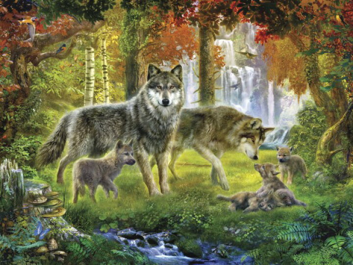 楽天市場 動物 アニマル 狼 オオカミの壁紙 輸入 カスタム壁紙 Photowall Summer Wolf Family E 貼ってはがせるフリース壁紙 不織布 海外取り寄せのため1カ月程度でお届け 代引き 後払い不可 壁紙屋本舗 カベガミヤホンポ