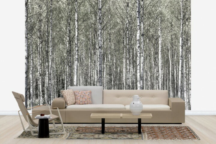 楽天市場 自然 森の壁紙 春 白樺 輸入 カスタム壁紙 Photowall Spring Birch Forest E 貼ってはがせるフリース壁紙 不織布 海外取り寄せのため1カ月程度でお届け 代引き 後払い不可 壁紙屋本舗 カベガミヤホンポ